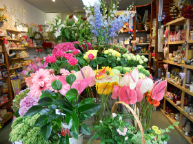 flower bouquets