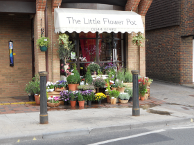 flower bouquets